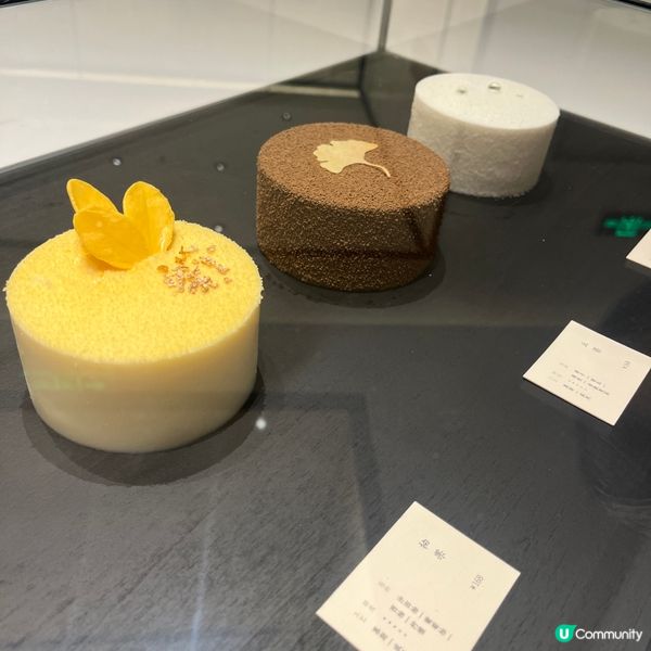 深圳巧遇高質甜品茶飲探店✨