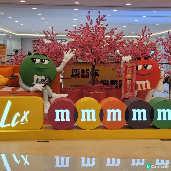 LCX X M&MS