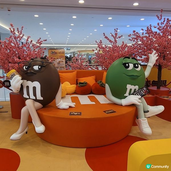 LCX X M&MS