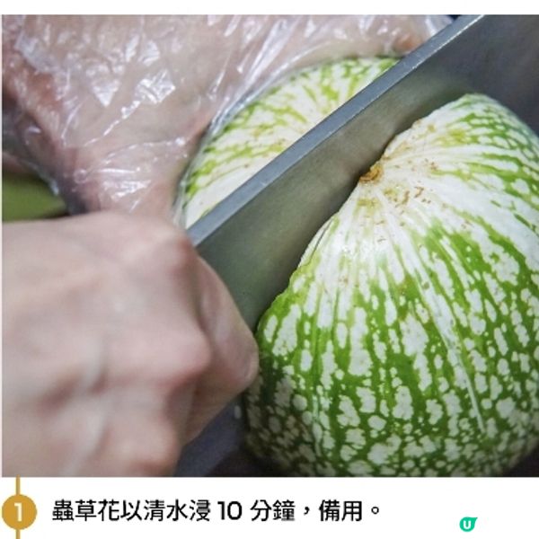 魚翅瓜蟲草花湯