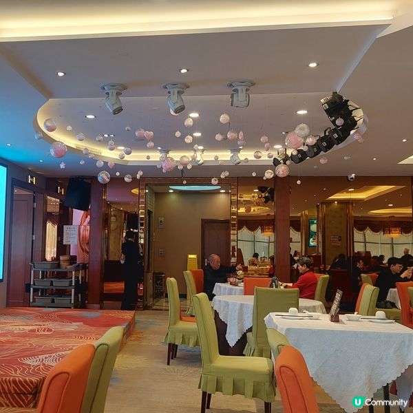 新福樓海鮮舫🫖早上8-10時有半價