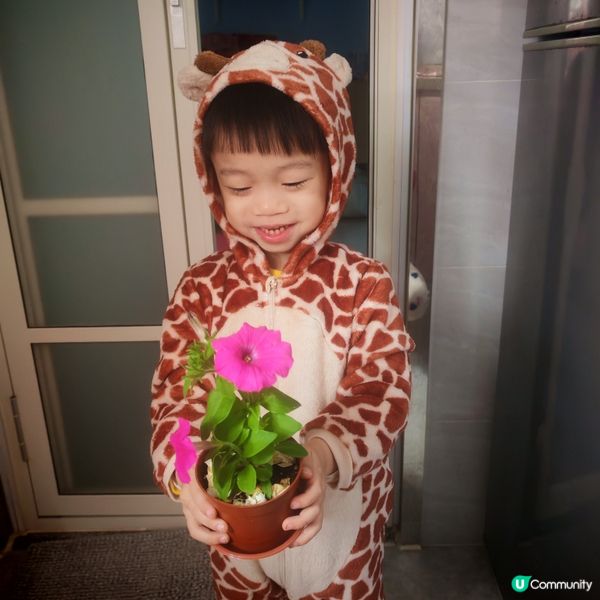 我的小情人😍🌹🌺