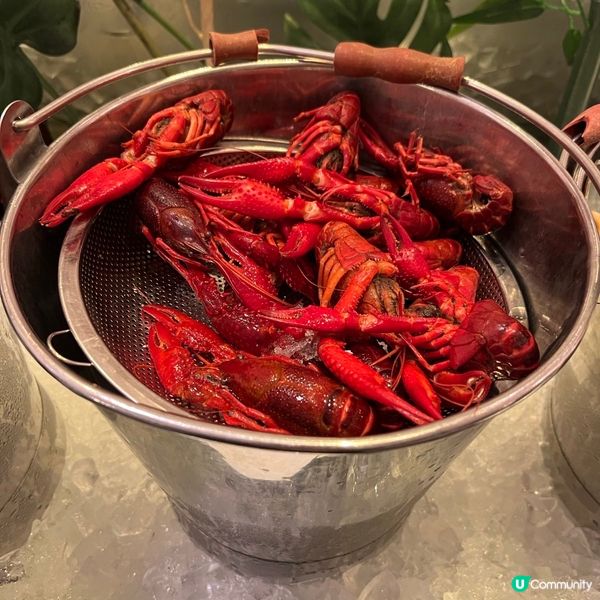 同屋企人去Cafe Marco食自助晚餐😻