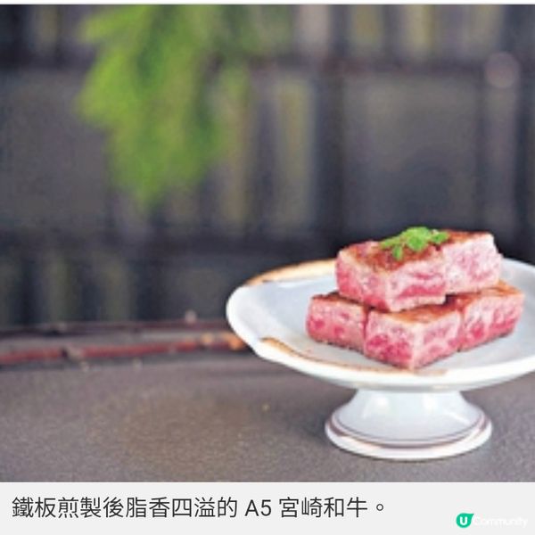 MINATO初春饗宴 品味東瀛極致料理藝術