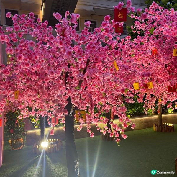 ## 利東街燈籠海🏮  情人節後依然浪漫🥰