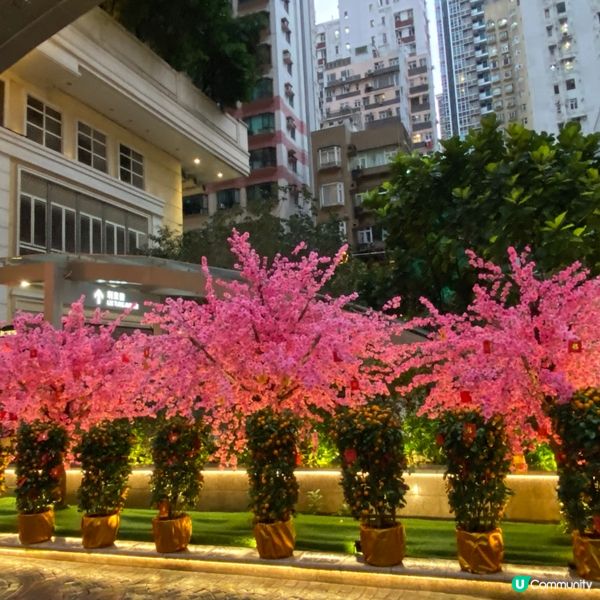 ## 利東街燈籠海🏮  情人節後依然浪漫🥰