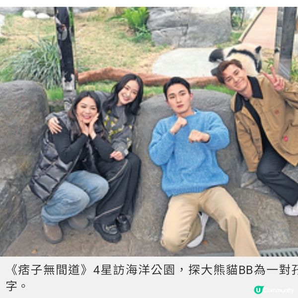 《痞子無間道》4星訪海洋公園 探大熊貓 BB為一對孖胎提議名