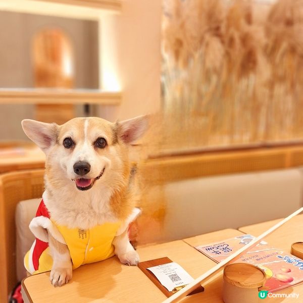 啟德鐵牛、重新起飛