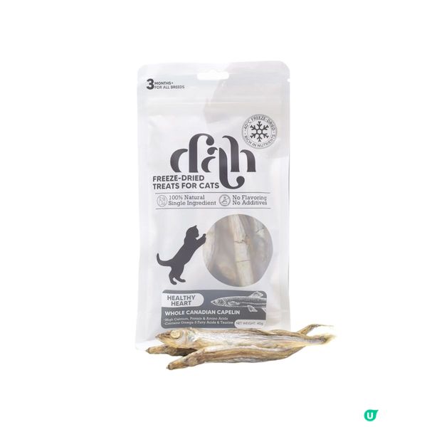 【主子請慢用🙇】送您喵星人dah「好物試用組合」！