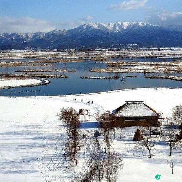 冬日新潟雪景❄️  晴天下的自然美景！🤩