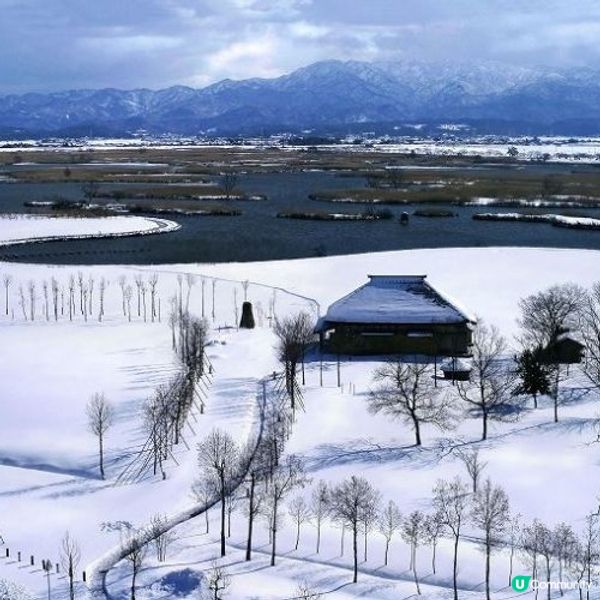 冬日新潟雪景❄️  晴天下的自然美景！🤩