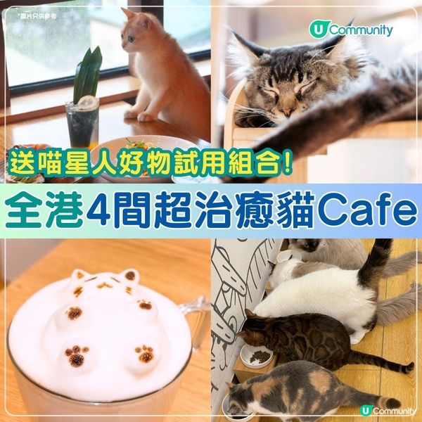 全港4間超治癒貓Cafe💕社群送喵星人「好物試用組合」