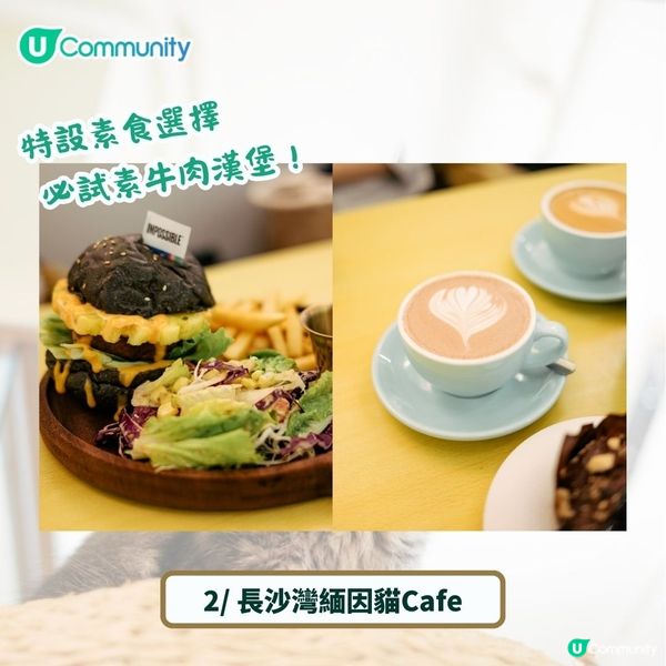 全港4間超治癒貓Cafe💕社群送喵星人「好物試用組合」