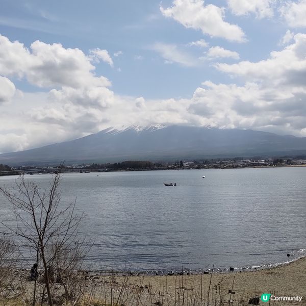 ## 富士山腳下打卡聖地🔥山中湖美景靚到爆🤩💜