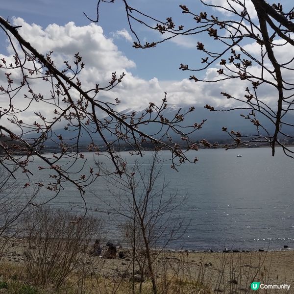 ## 富士山腳下打卡聖地🔥山中湖美景靚到爆🤩💜