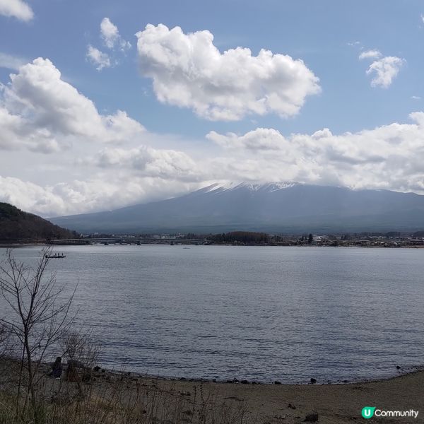 ## 富士山腳下打卡聖地🔥山中湖美景靚到爆🤩💜