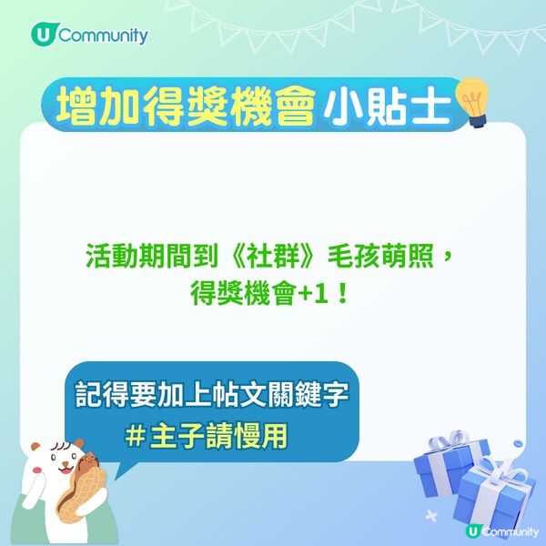 【貓奴注意🐱】「貓之日」活動清單📝！