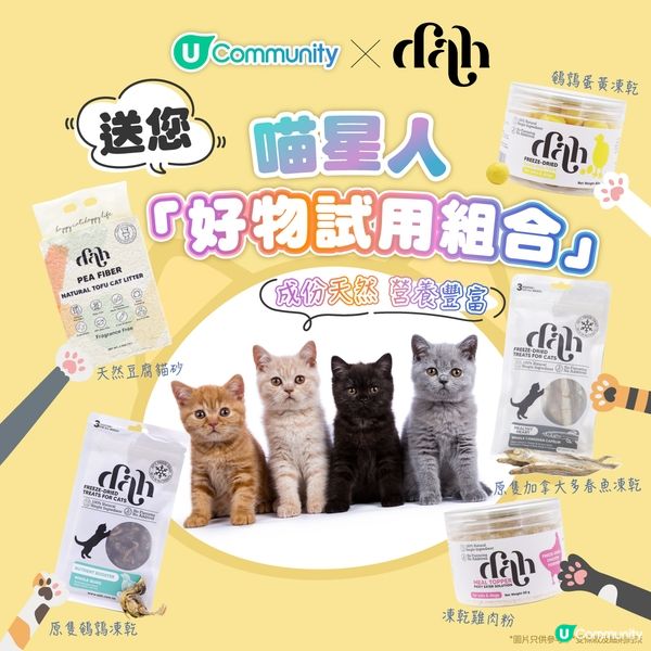 全港4間超治癒貓Cafe💕社群送喵星人「好物試用組合」