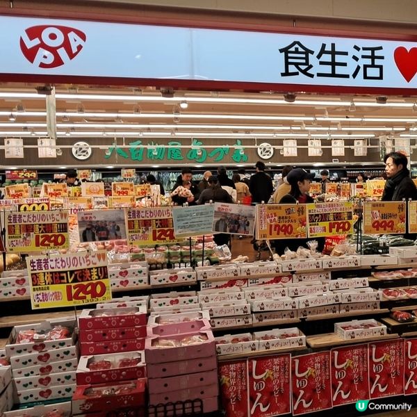 日本Lopia人氣超市！🍓🍎🍅🍱🍣