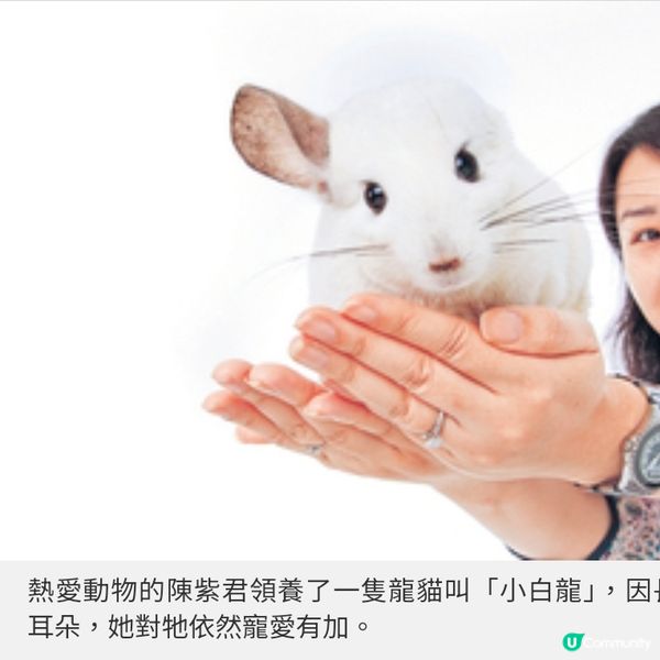 童趣水墨畫打破框框 畫家陳紫君以毅力肯定自我