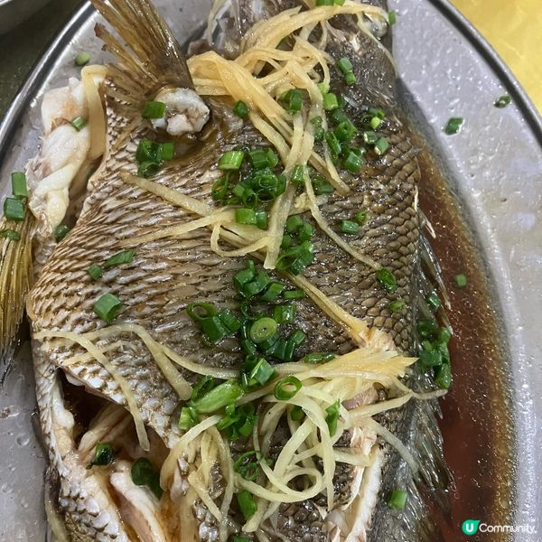 珠海白藤頭海鮮市場🦞食到停唔到口🤩