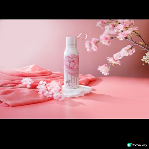 星巴克焗蛋系列 、春季限定飲品及Milky Island登場