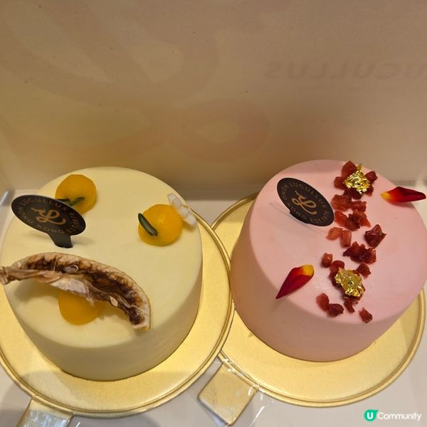 龍島我嘅至愛🥰