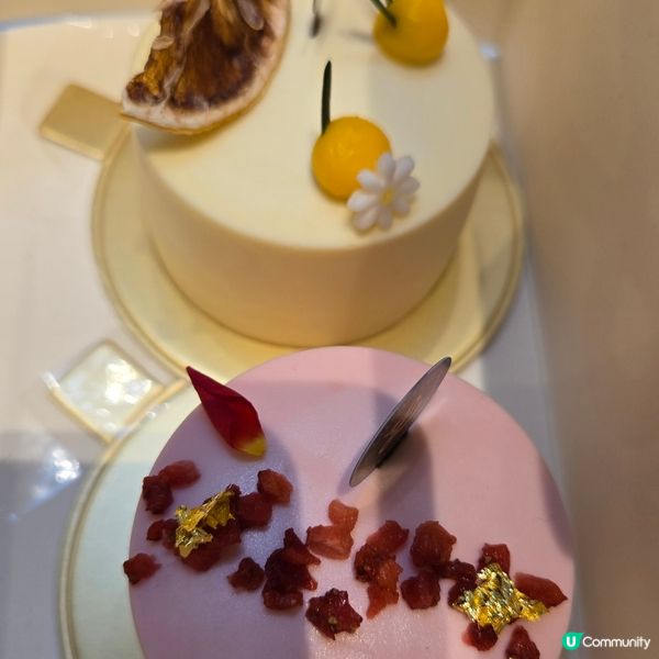 龍島我嘅至愛🥰