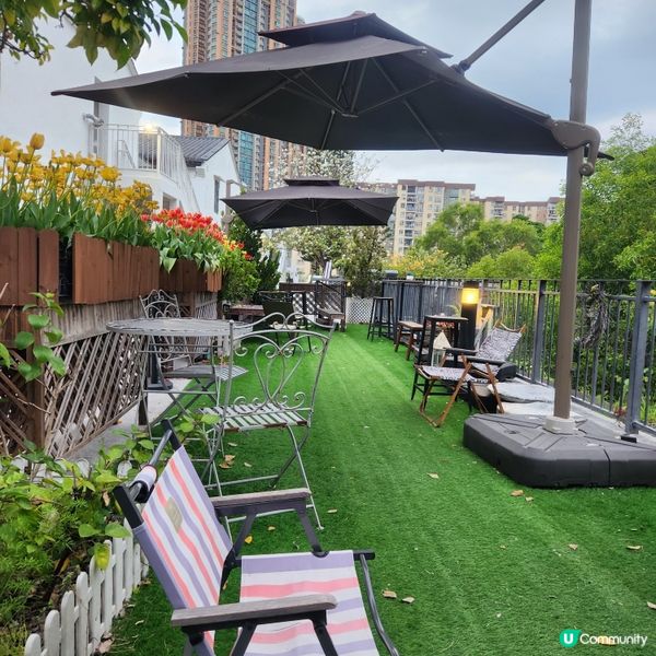 🌷花深時節@饒宗頤文化館 💚春季賞花好去處