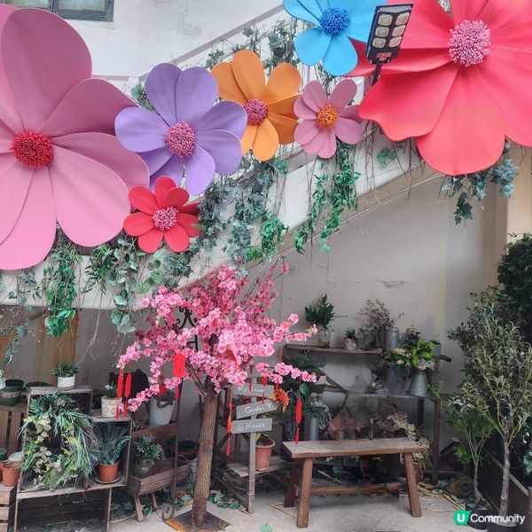 🌷花深時節@饒宗頤文化館 💚春季賞花好去處