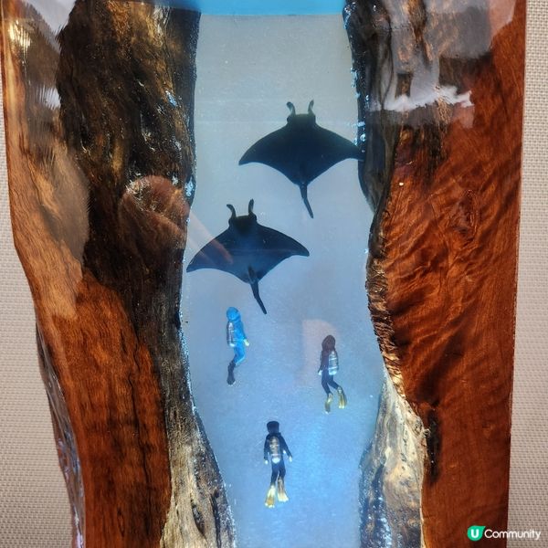 🌷花深時節@饒宗頤文化館 💚春季賞花好去處