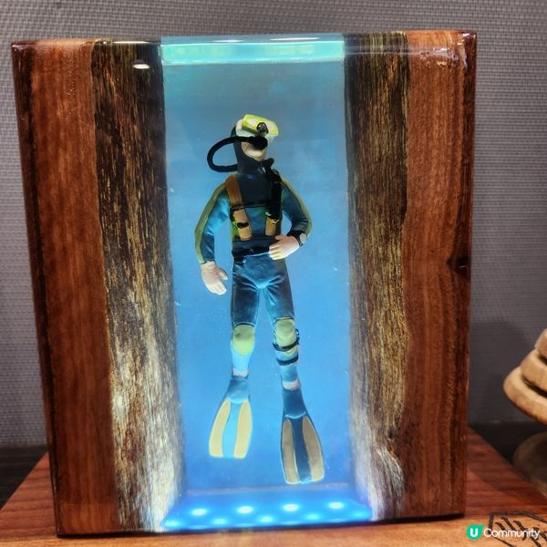 🌷花深時節@饒宗頤文化館 💚春季賞花好去處