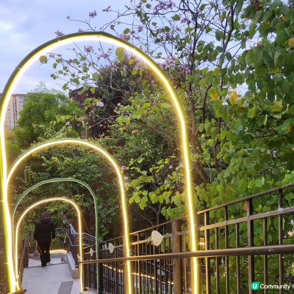 🌷花深時節@饒宗頤文化館 💚春季賞花好去處