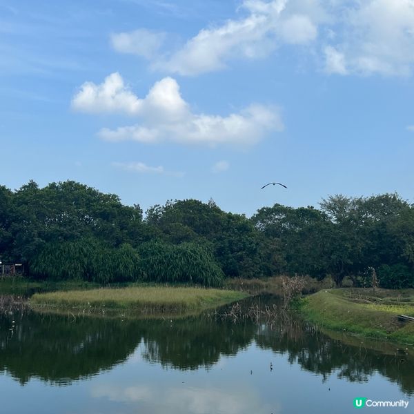 熟悉又陌生➕隱世😯好去處📍推介‼️另類ver天空之鏡🦋📸