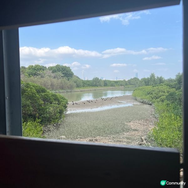 熟悉又陌生➕隱世😯好去處📍推介‼️另類ver天空之鏡🦋📸