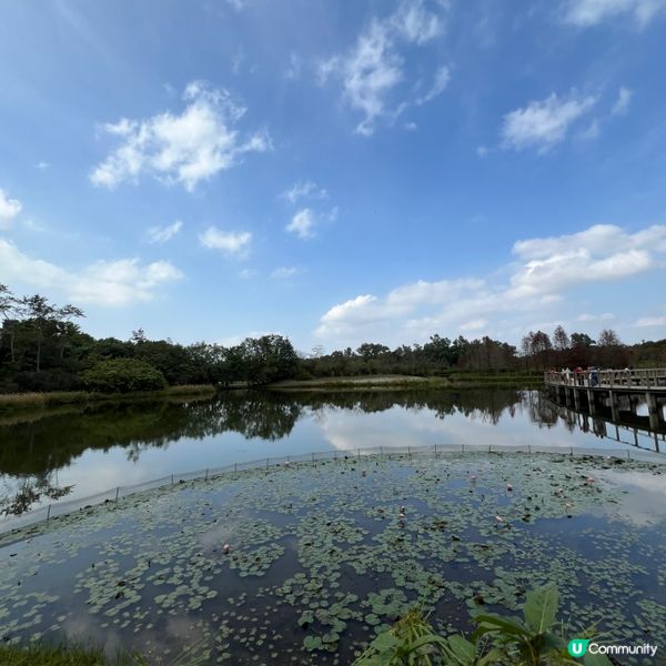 熟悉又陌生➕隱世😯好去處📍推介‼️另類ver天空之鏡🦋📸
