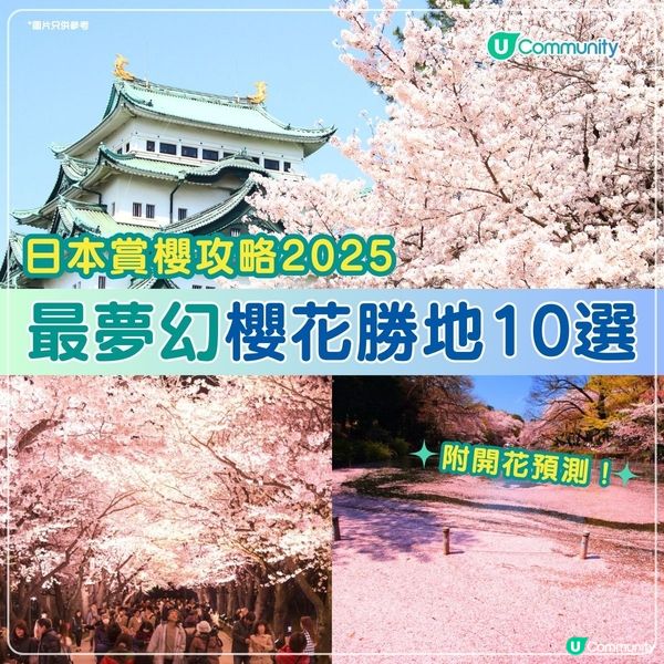 日本賞櫻攻略2025🌸最夢幻櫻花勝地10選 附最新開花預測❗