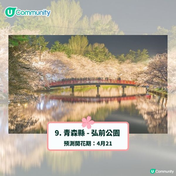 日本賞櫻攻略2025🌸最夢幻櫻花勝地10選 附最新開花預測❗