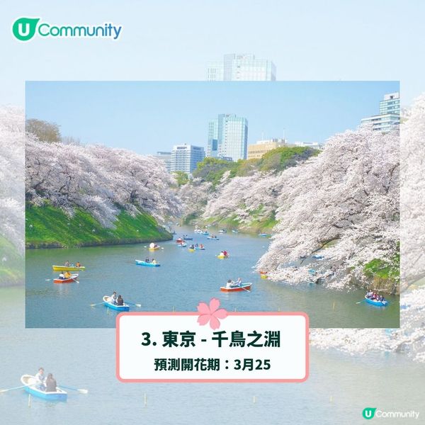 日本賞櫻攻略2025🌸最夢幻櫻花勝地10選 附最新開花預測❗
