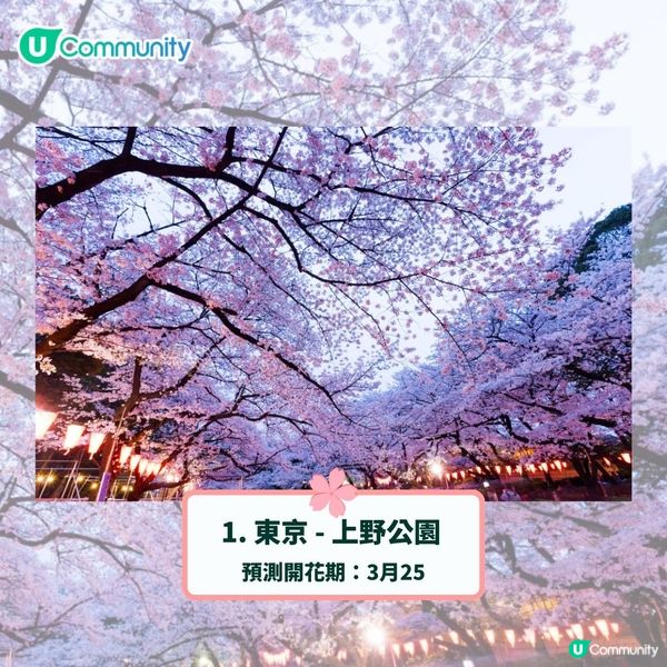 日本賞櫻攻略2025🌸最夢幻櫻花勝地10選 附最新開花預測❗