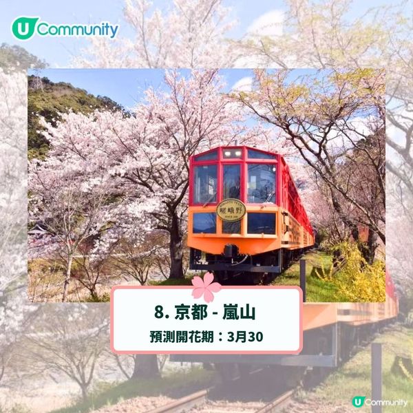 日本賞櫻攻略2025🌸最夢幻櫻花勝地10選 附最新開花預測❗