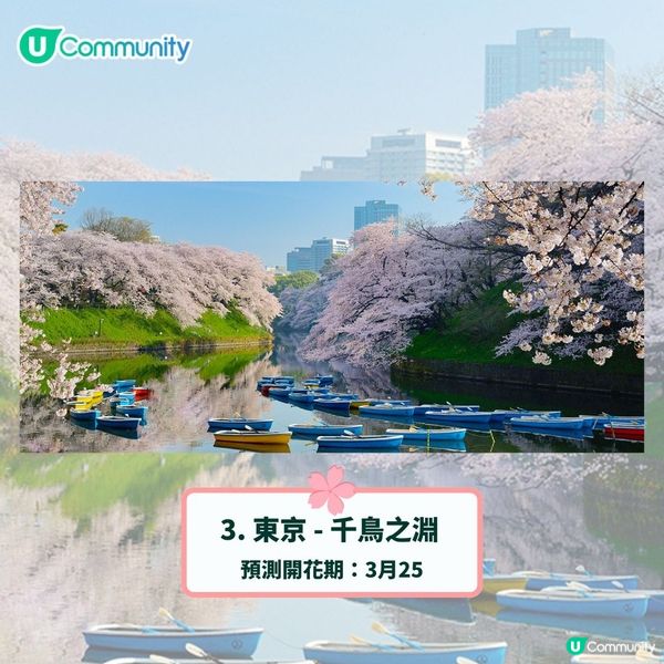 日本賞櫻攻略2025🌸最夢幻櫻花勝地10選 附最新開花預測❗