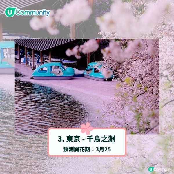日本賞櫻攻略2025🌸最夢幻櫻花勝地10選 附最新開花預測❗