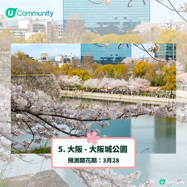 日本賞櫻攻略2025🌸最夢幻櫻花勝地10選 附最新開花預測❗