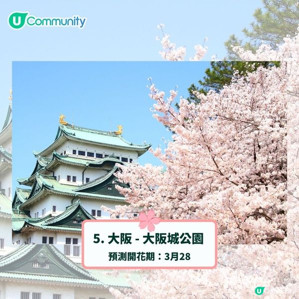 日本賞櫻攻略2025🌸最夢幻櫻花勝地10選 附最新開花預測❗