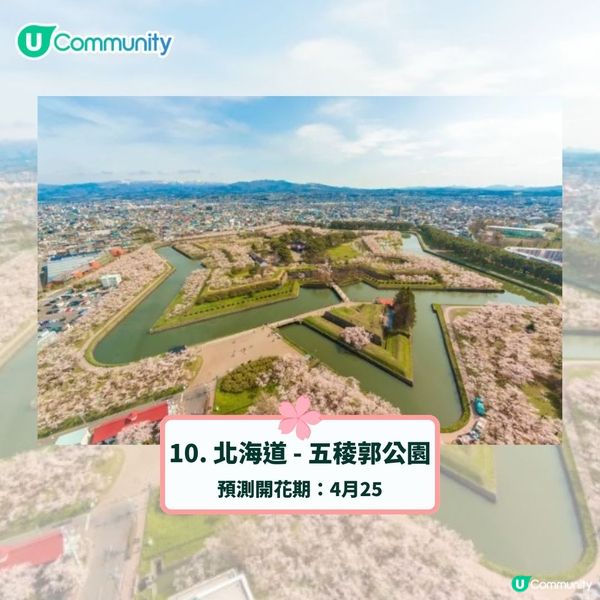 日本賞櫻攻略2025🌸最夢幻櫻花勝地10選 附最新開花預測❗