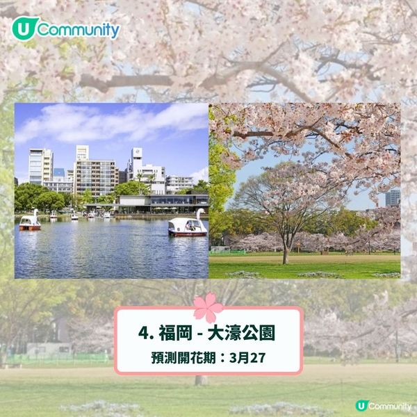 日本賞櫻攻略2025🌸最夢幻櫻花勝地10選 附最新開花預測❗