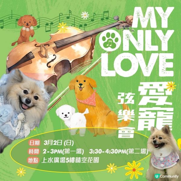My Only Love 愛寵弦樂會