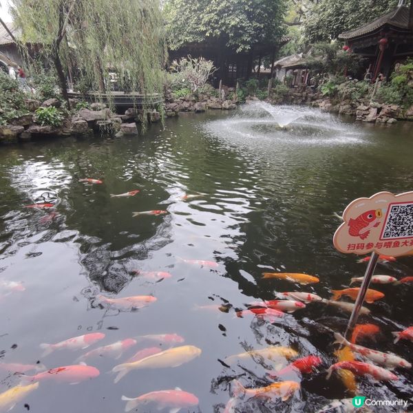 48小時快閃順德 — 舌尖暴走+復古打卡，食到唔捨得返香港！