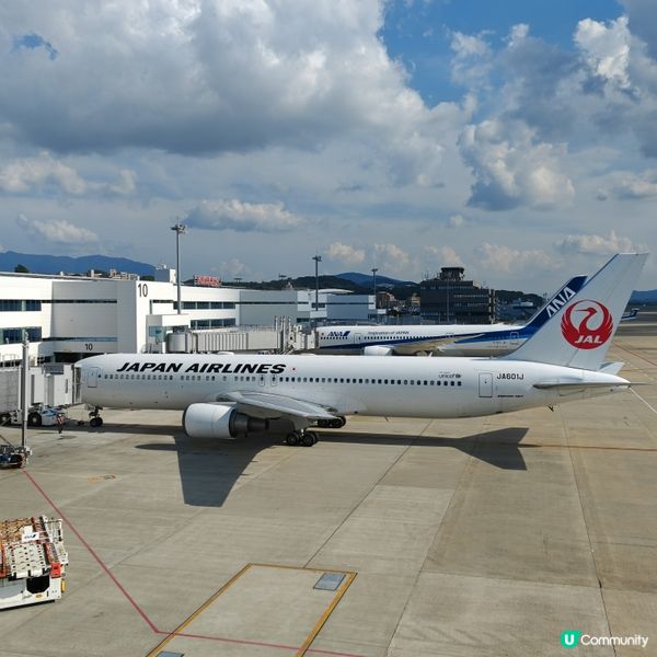 【Jenny去邊好】  北九州福岡自由行~柳橋連合市場 Re...